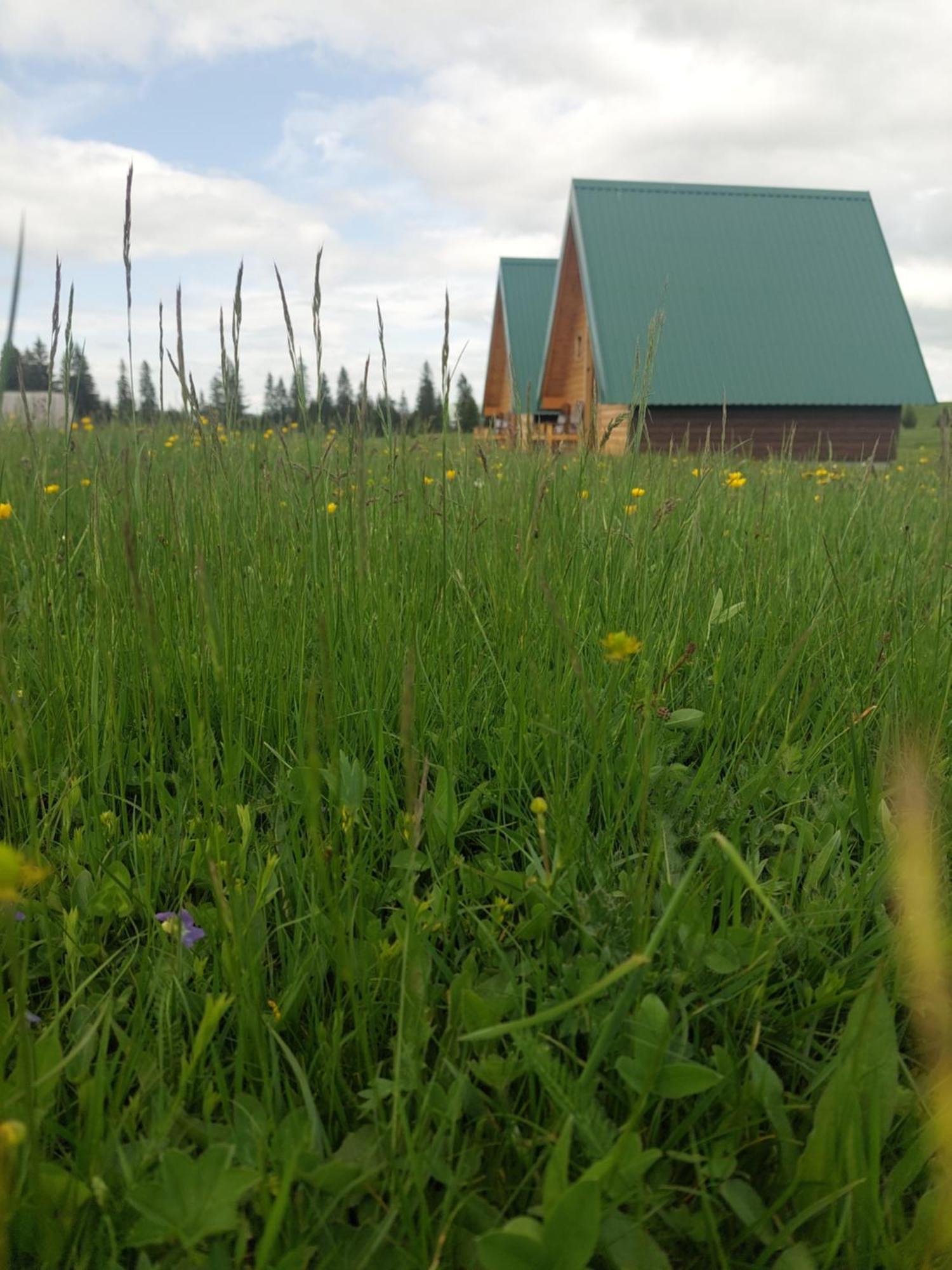 Sumski Raj Žabljak Habitación foto