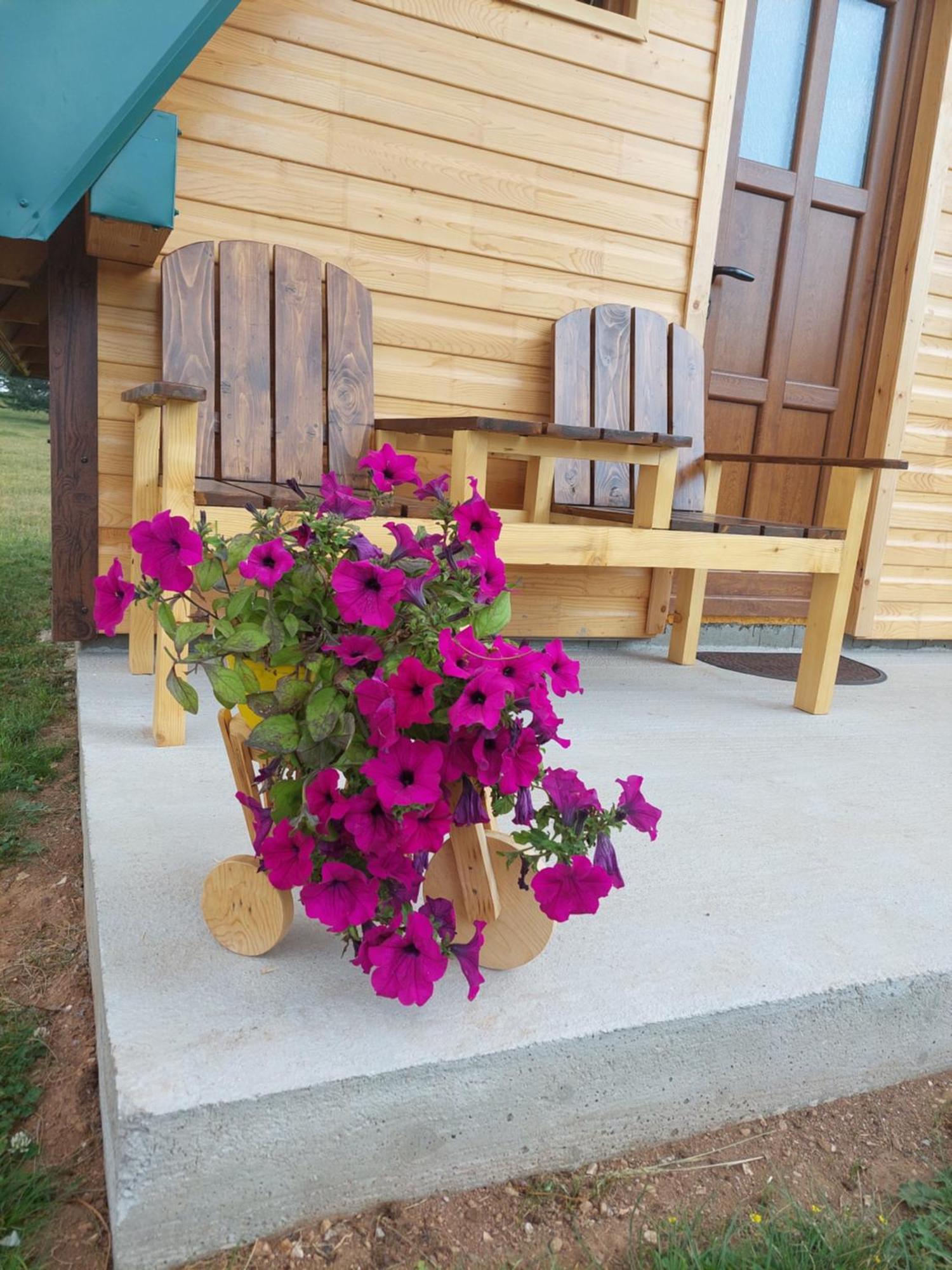 Sumski Raj Žabljak Habitación foto